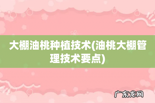 油桃大棚管理技术要点 大棚油桃种植技术
