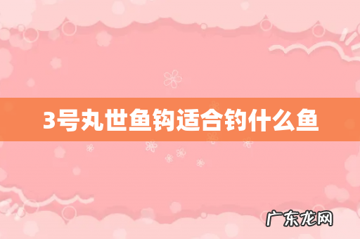 3号丸世鱼钩适合钓什么鱼