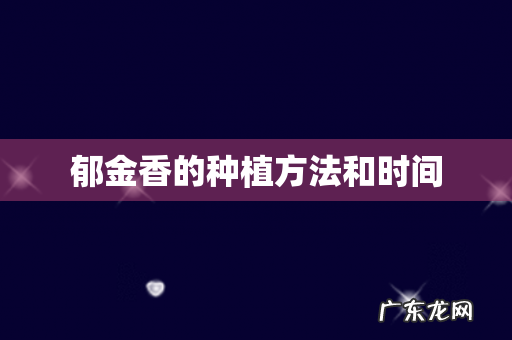 郁金香的种植方法和时间