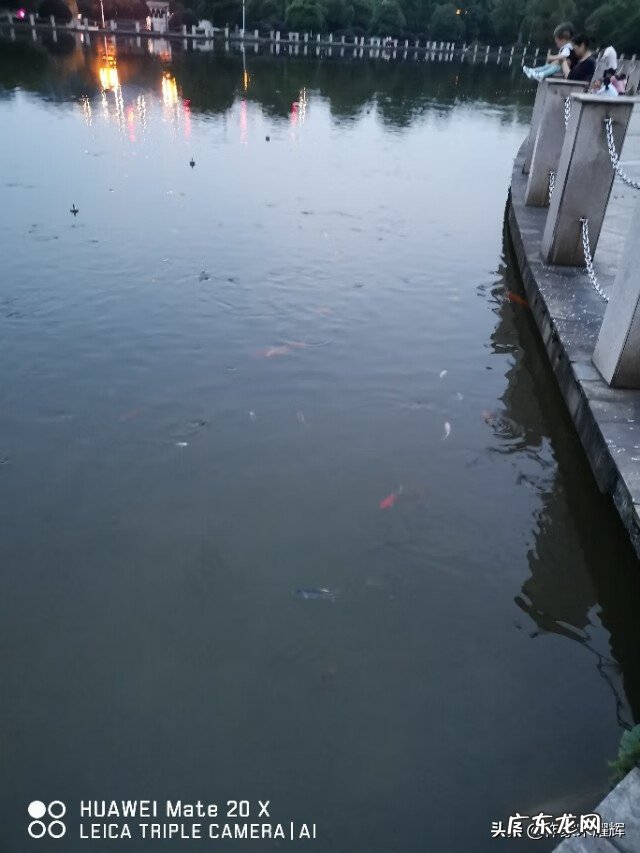 挨着体育馆的房子风水好吗 体育馆风水属性