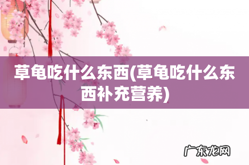 草龟吃什么东西补充营养 草龟吃什么东西