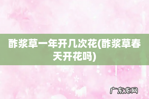 酢浆草春天开花吗 酢浆草一年开几次花