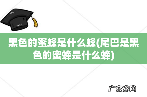 尾巴是黑色的蜜蜂是什么蜂 黑色的蜜蜂是什么蜂