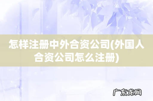外国人合资公司怎么注册 怎样注册中外合资公司