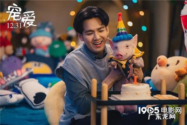 把宠物当家人是不是心理疾病 宠物当家免费观看