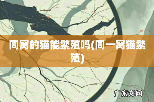 同一窝猫繁殖 同窝的猫能繁殖吗