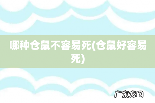 仓鼠好容易死 哪种仓鼠不容易死
