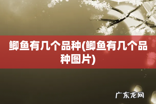 鲫鱼有几个品种图片 鲫鱼有几个品种