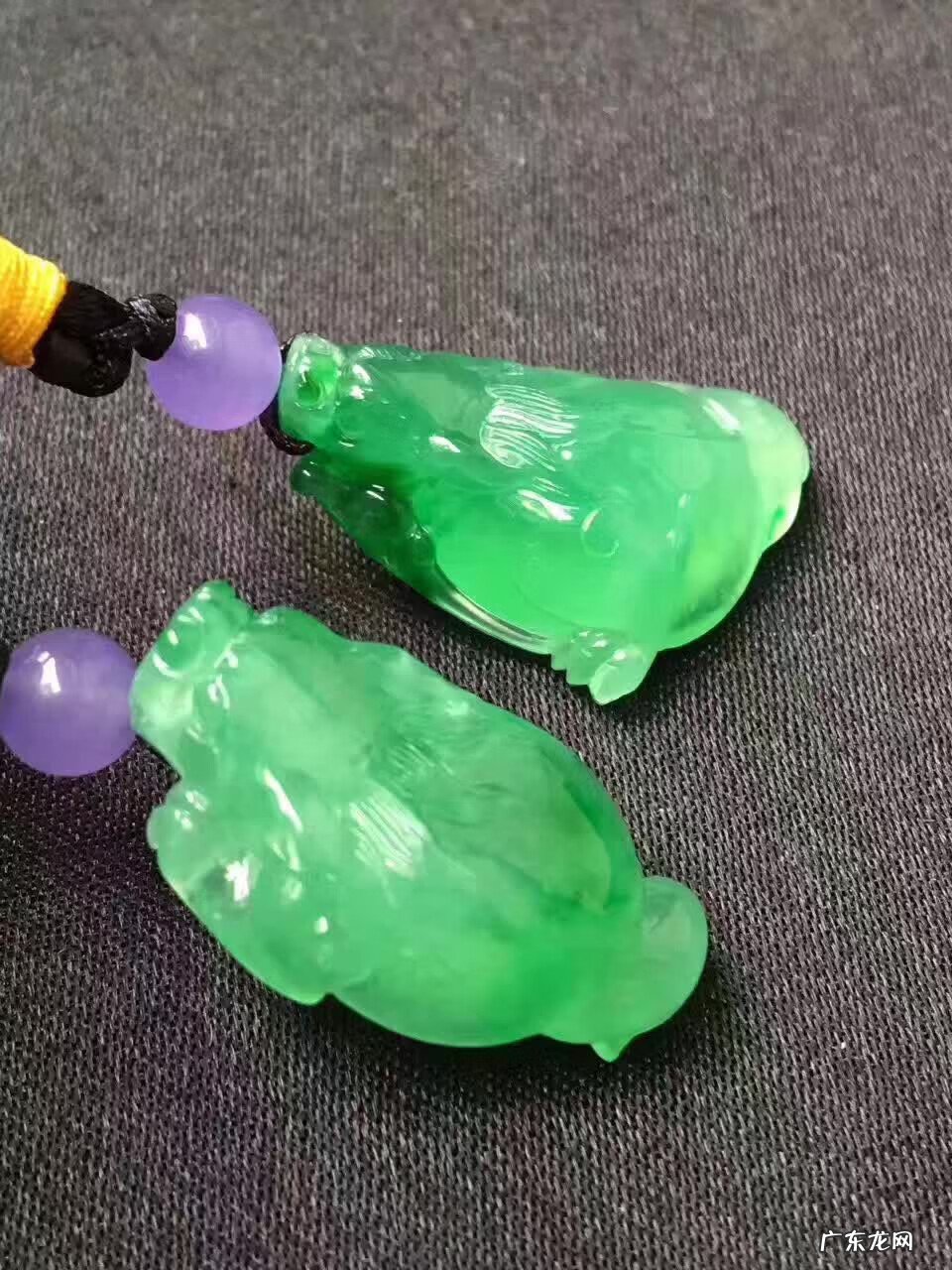 金龙鱼的风水作用 金蟾 风水