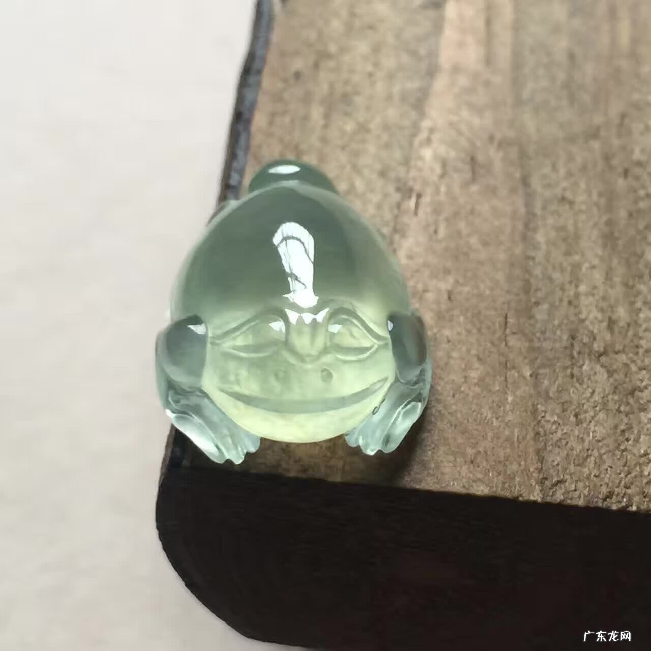 金龙鱼的风水作用 金蟾 风水