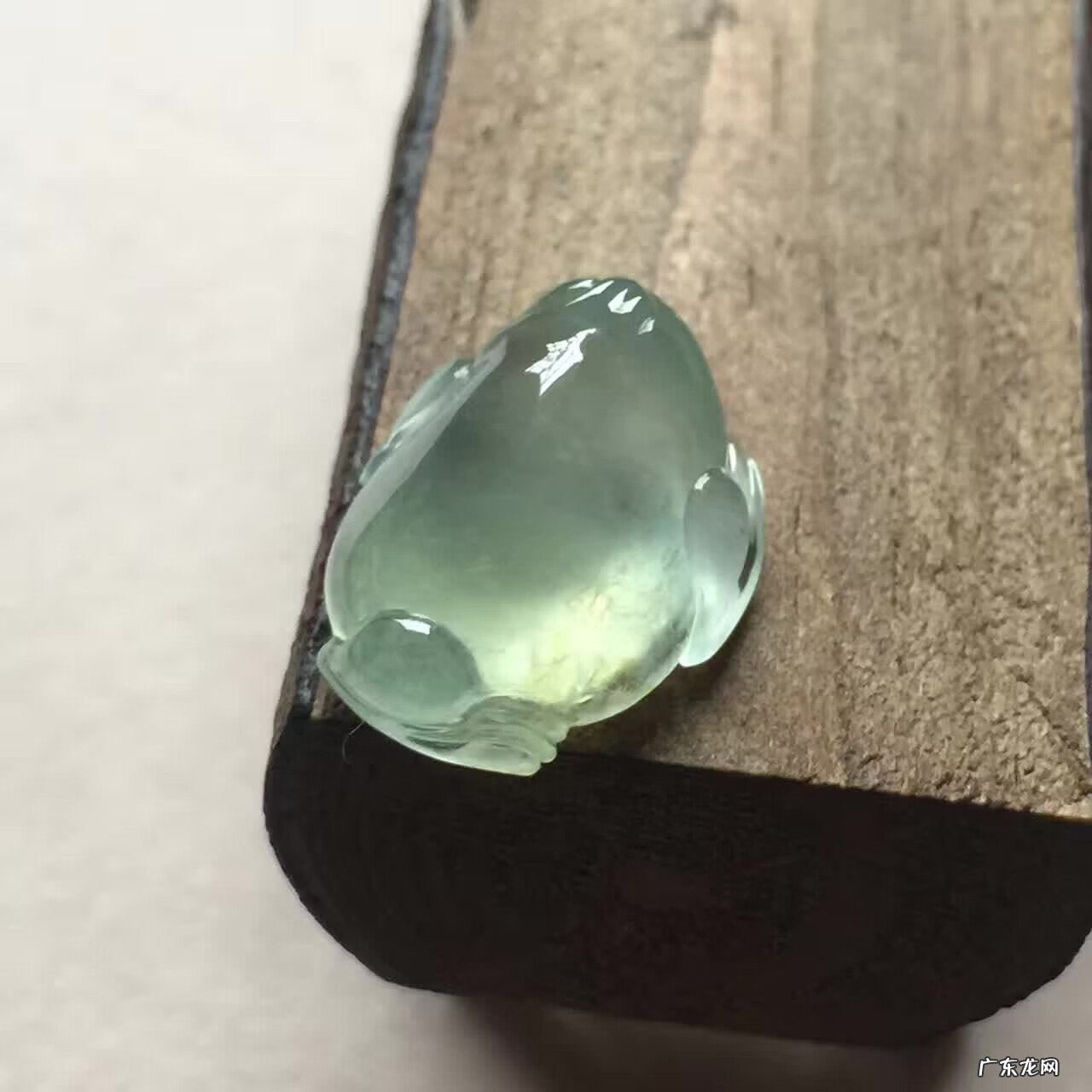 金龙鱼的风水作用 金蟾 风水