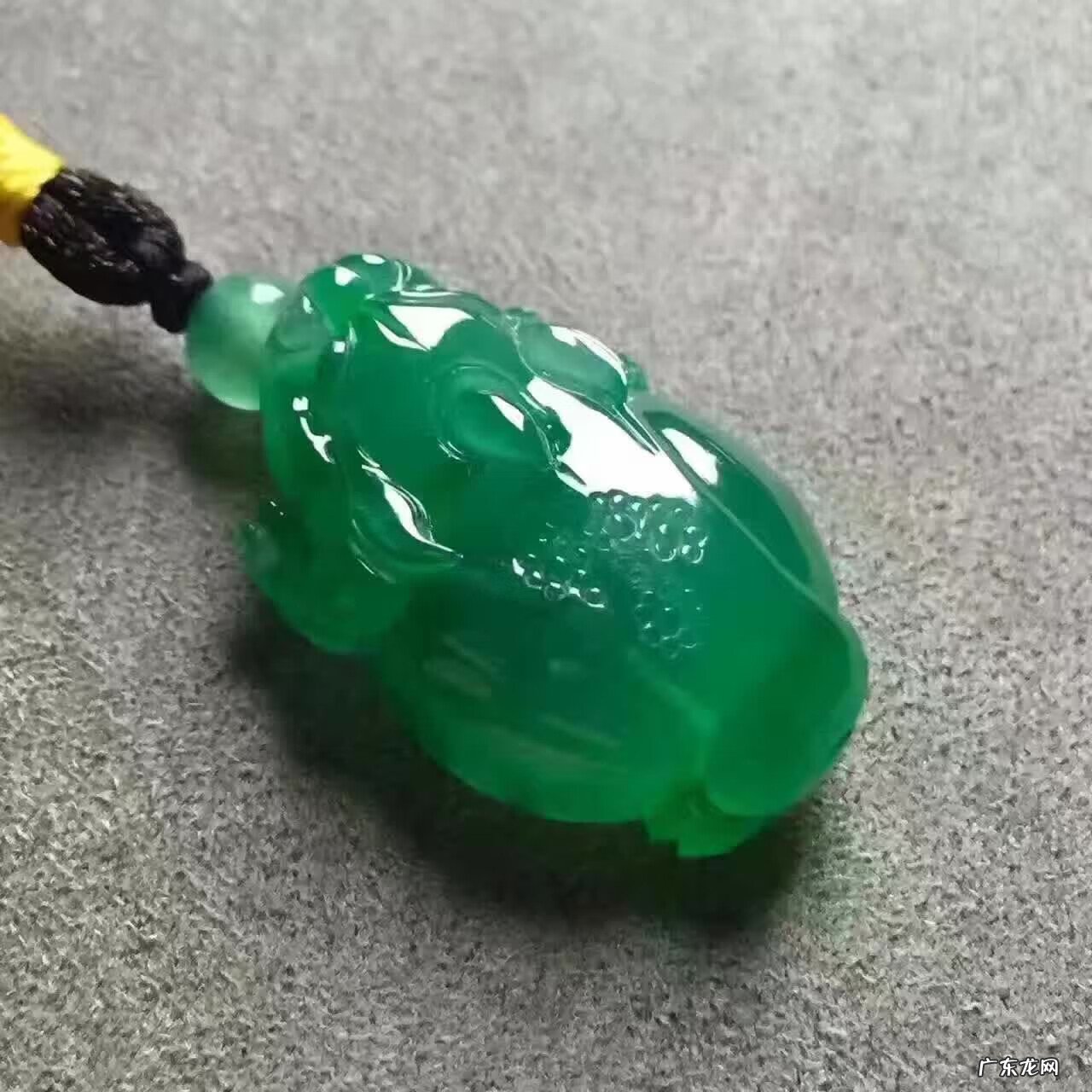 金龙鱼的风水作用 金蟾 风水