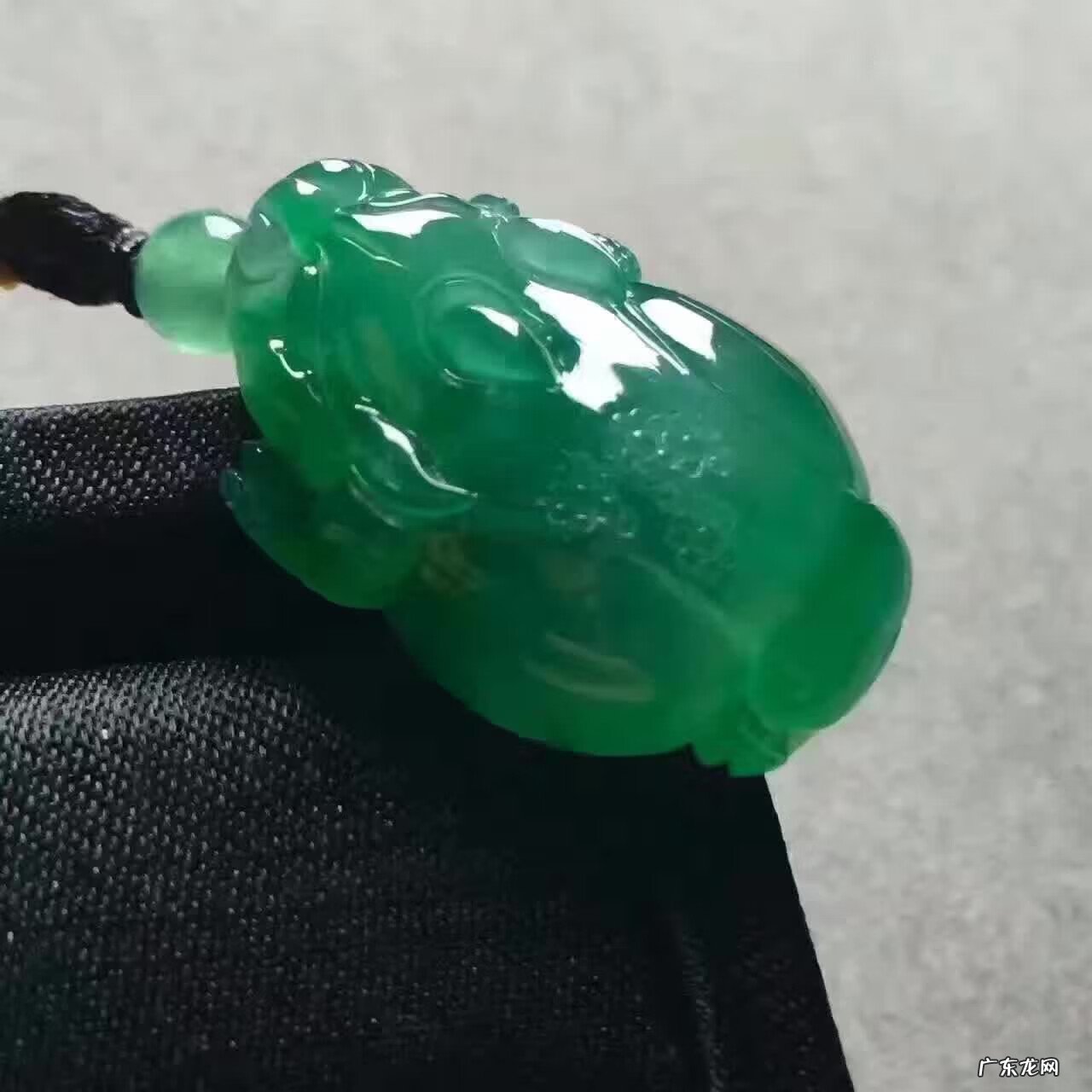 金龙鱼的风水作用 金蟾 风水