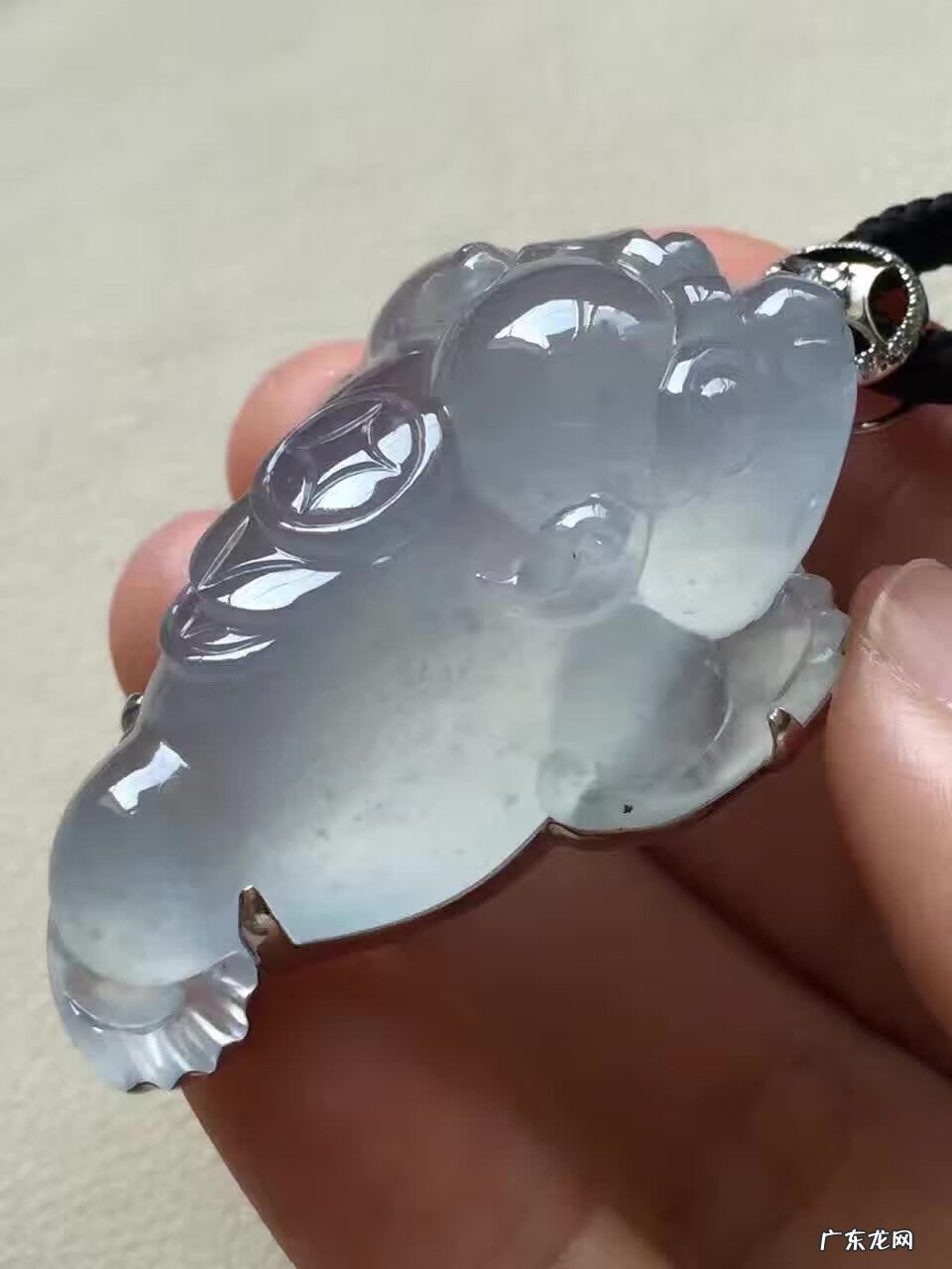 金龙鱼的风水作用 金蟾 风水