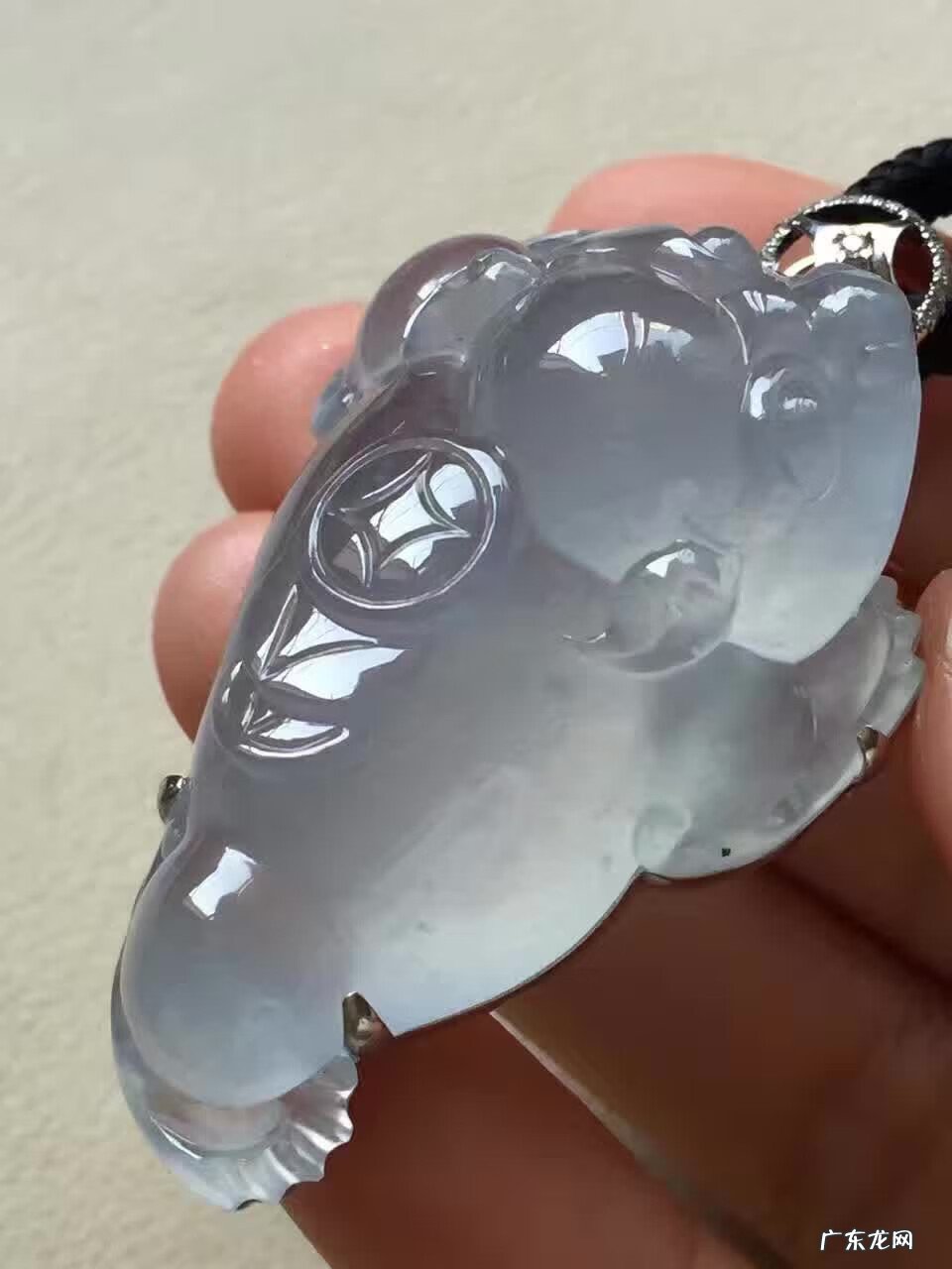 金龙鱼的风水作用 金蟾 风水