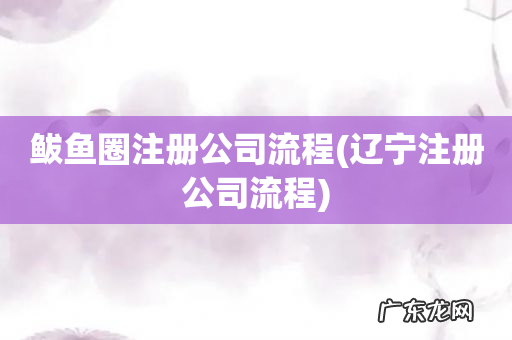 辽宁注册公司流程 鲅鱼圈注册公司流程