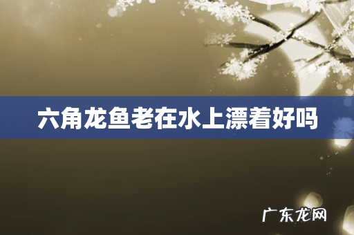 六角龙鱼老在水上漂着好吗