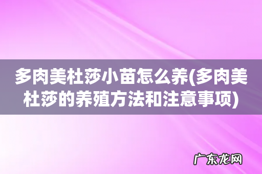 多肉美杜莎的养殖方法和注意事项 多肉美杜莎小苗怎么养