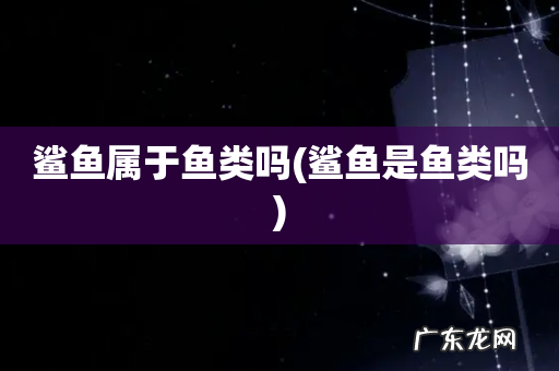 鲨鱼是鱼类吗 鲨鱼属于鱼类吗