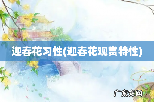 迎春花观赏特性 迎春花习性