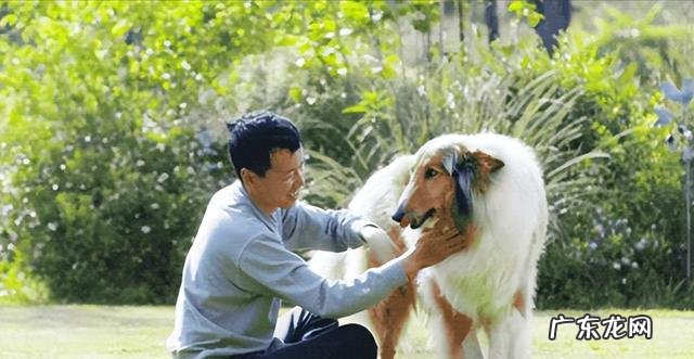 摩尔庄园百科 摩尔庄园