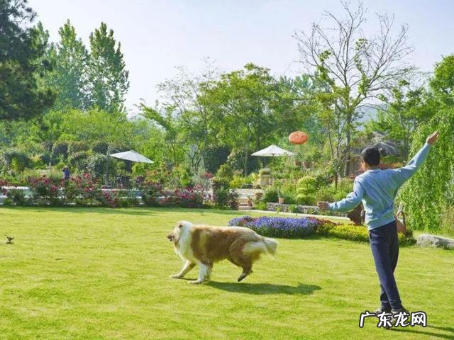 摩尔庄园百科 摩尔庄园