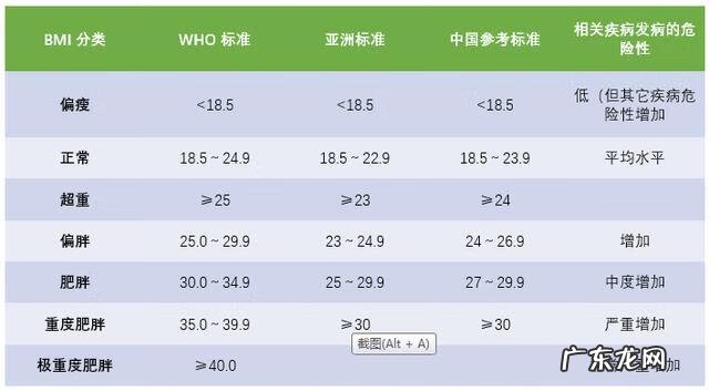 狂热节拍手机版 狂热节拍是什么意思