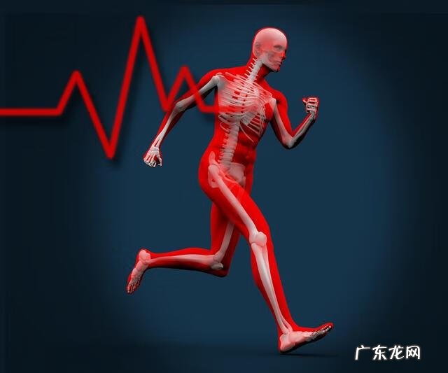 狂热节拍手机版 狂热节拍是什么意思