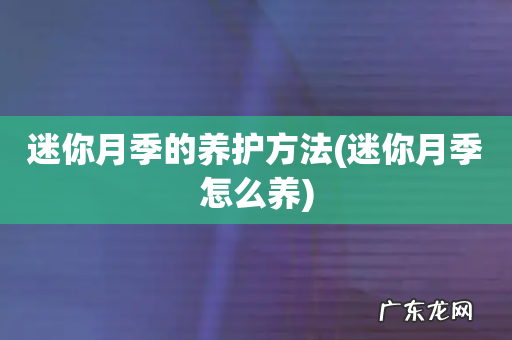 迷你月季怎么养 迷你月季的养护方法