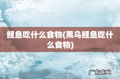 黑乌鲤鱼吃什么食物 鲤鱼吃什么食物