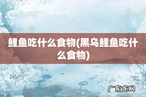 黑乌鲤鱼吃什么食物 鲤鱼吃什么食物