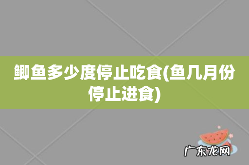 鱼几月份停止进食 鲫鱼多少度停止吃食