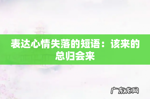 表达心情失落的短语:该来的总归会来