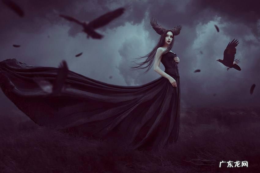 暗夜猎手薇恩的W叫什么名字 暗夜猎手薇恩小说