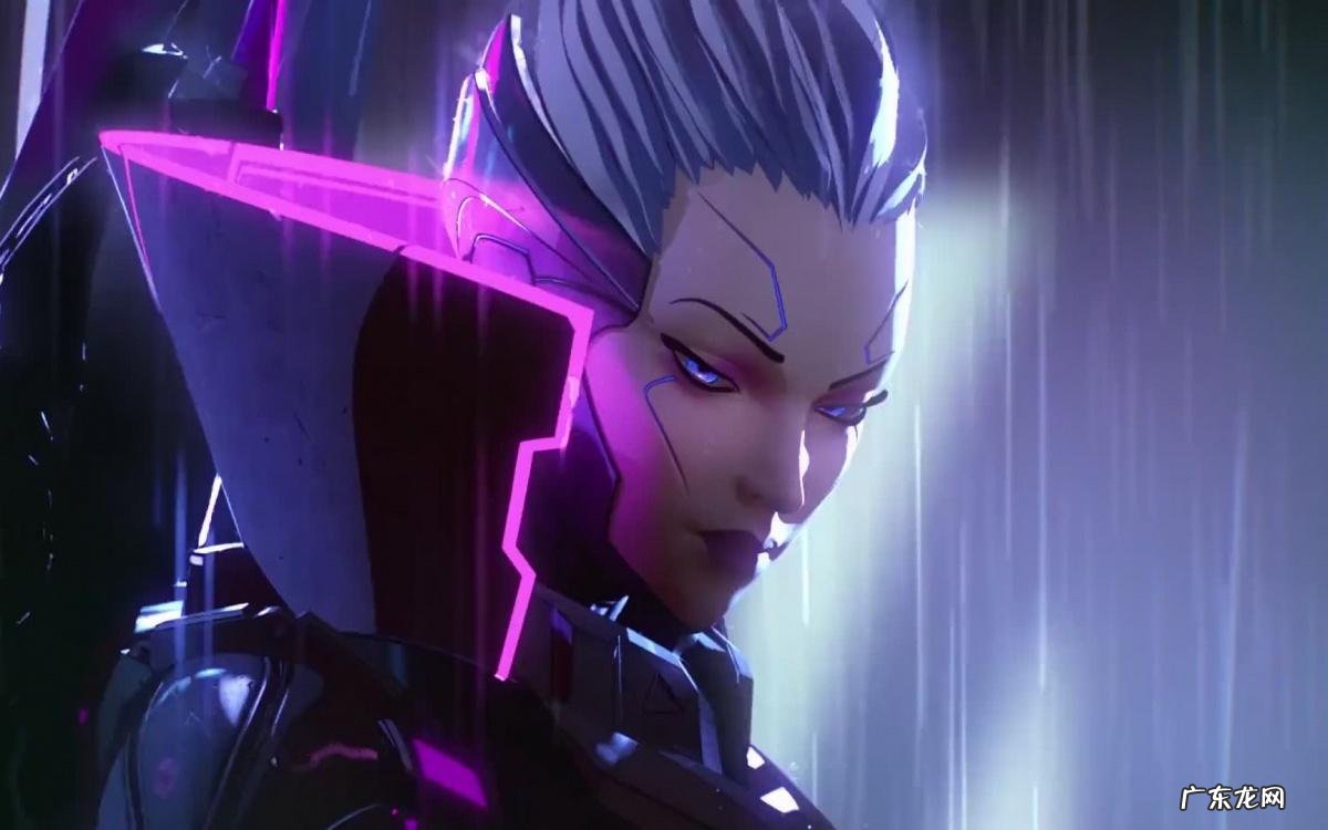 暗夜猎手薇恩的W叫什么名字 暗夜猎手薇恩小说