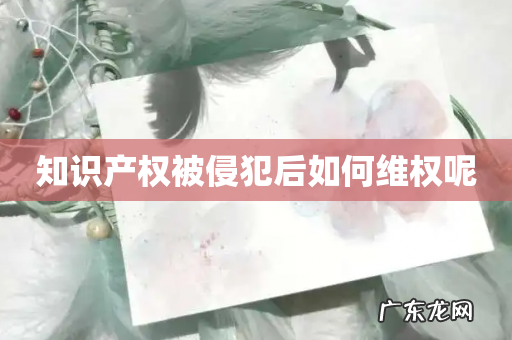 知识产权被侵犯后如何维权呢