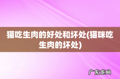 猫咪吃生肉的坏处 猫吃生肉的好处和坏处