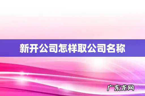 新开公司怎样取公司名称