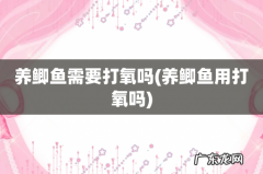 养鲫鱼用打氧吗 养鲫鱼需要打氧吗