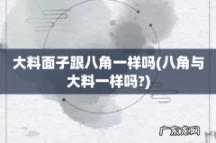 八角与大料一样吗? 大料面子跟八角一样吗