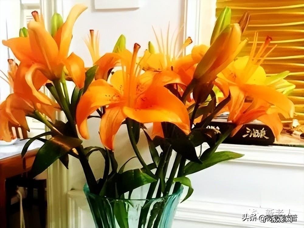 日常生活中的小妙招 日常生活小妙招500条