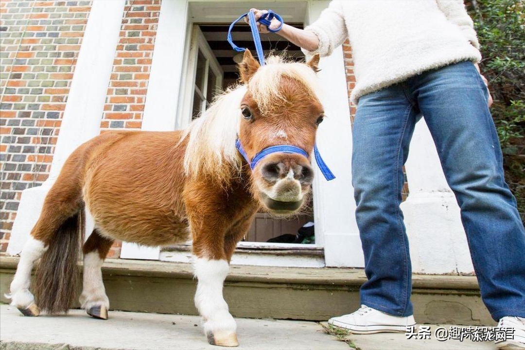 每日科普小知识