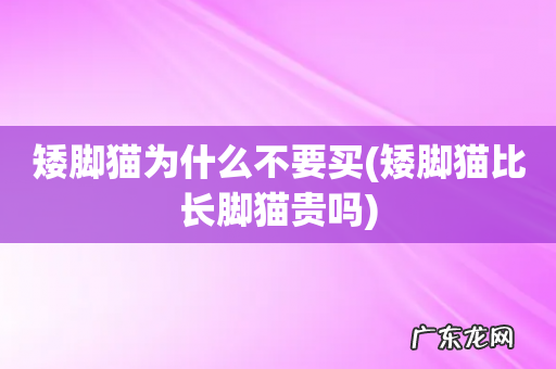矮脚猫比长脚猫贵吗 矮脚猫为什么不要买
