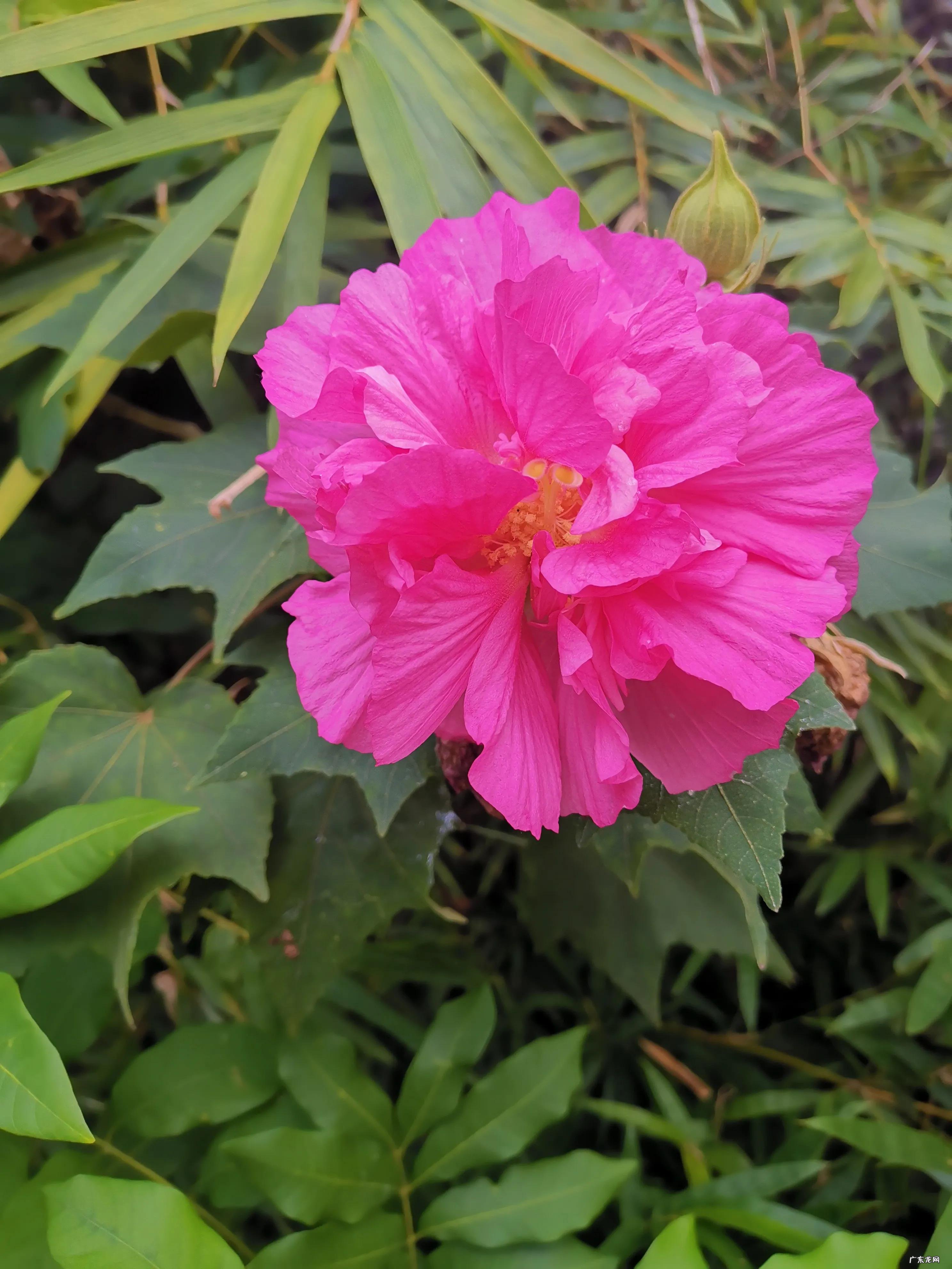 如何评价世界最神奇的24堂课 世界上最神奇的24堂课怎么样