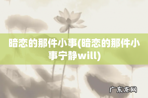 暗恋的那件小事宁静will 暗恋的那件小事