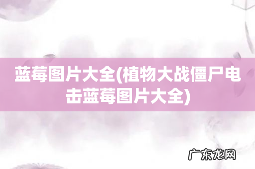 植物大战僵尸电击蓝莓图片大全 蓝莓图片大全