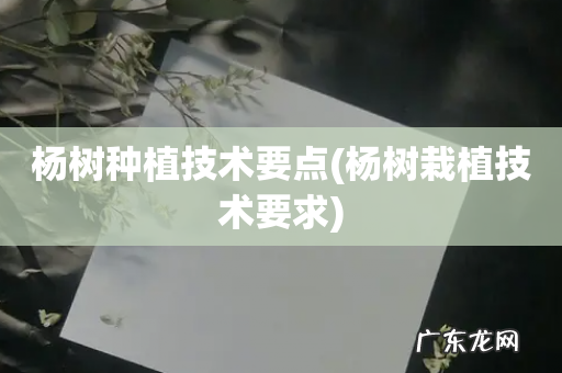 杨树栽植技术要求 杨树种植技术要点