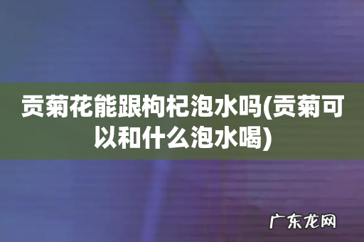 贡菊可以和什么泡水喝 贡菊花能跟枸杞泡水吗
