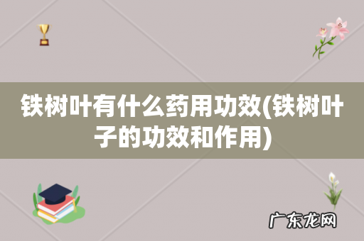 铁树叶子的功效和作用 铁树叶有什么药用功效