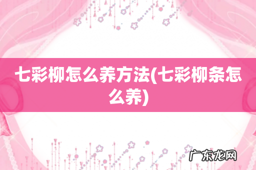 七彩柳条怎么养 七彩柳怎么养方法